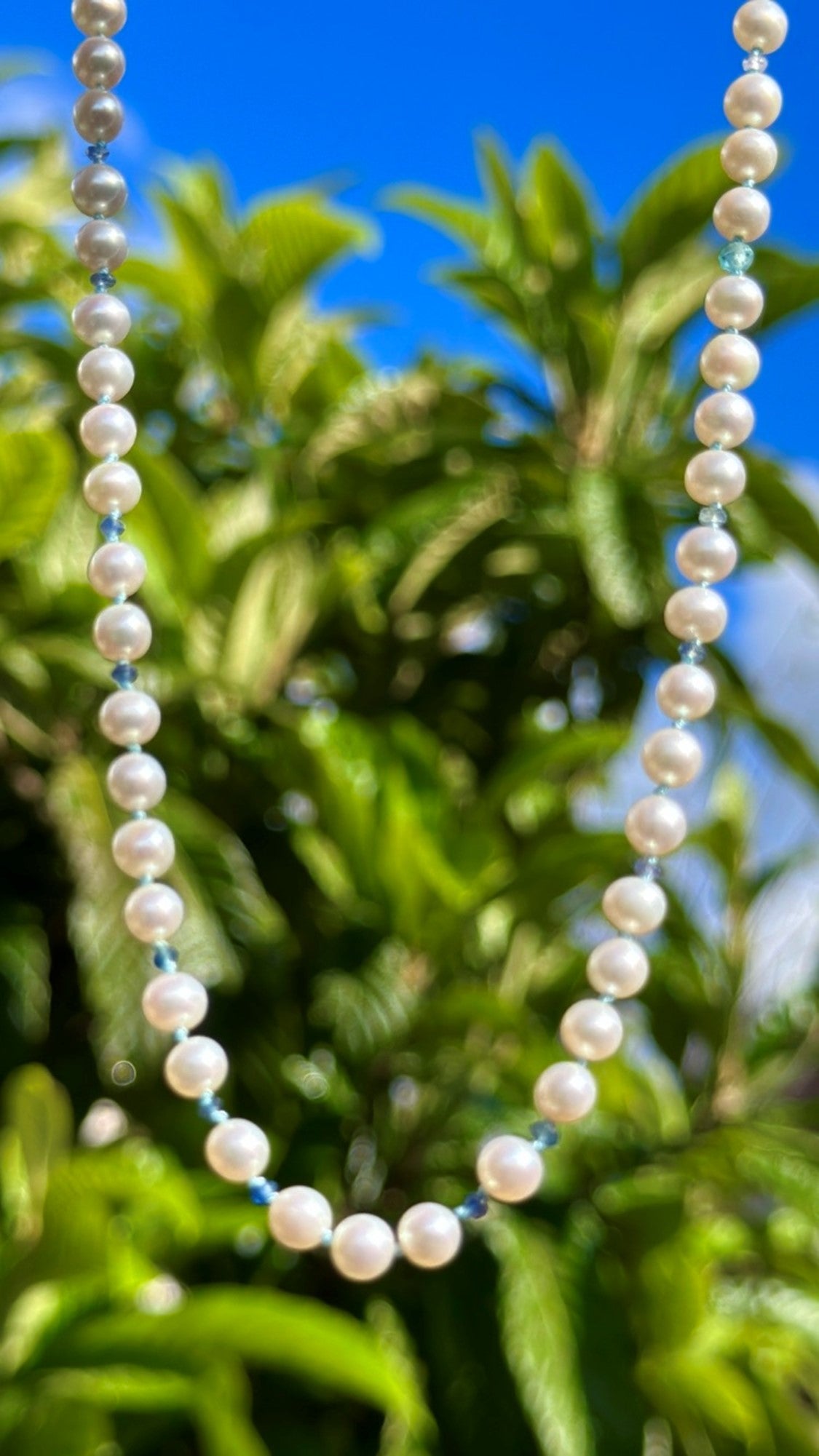 Pearl necklace with sapphire near palmtree